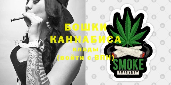 крисы Горнозаводск