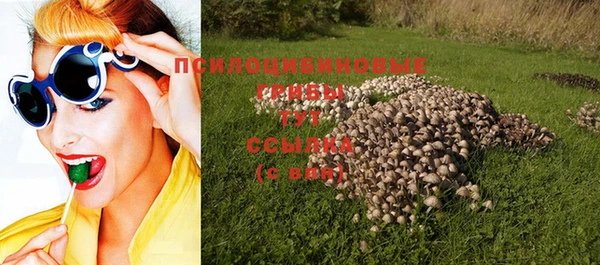 крисы Горнозаводск