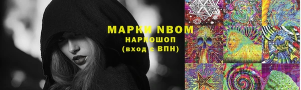 Альфа ПВП Горняк