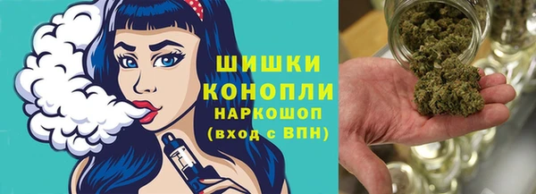 крисы Горнозаводск