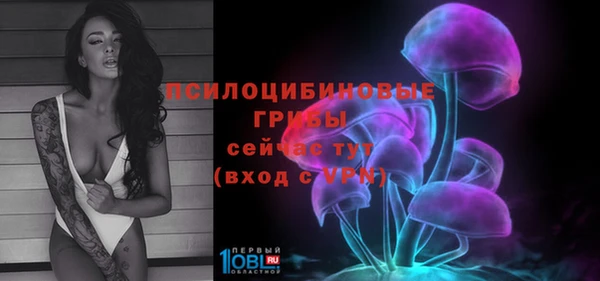 Альфа ПВП Горняк