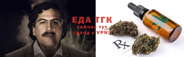 Альфа ПВП Горняк