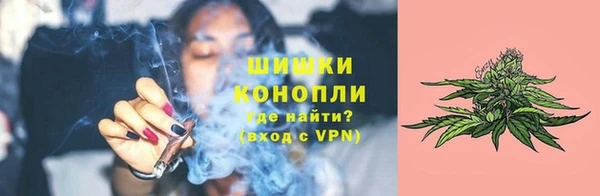 крисы Горнозаводск