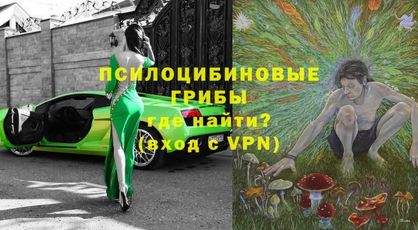 Альфа ПВП Горняк