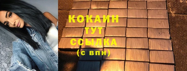 Альфа ПВП Горняк