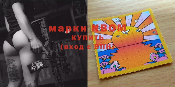 Альфа ПВП Горняк